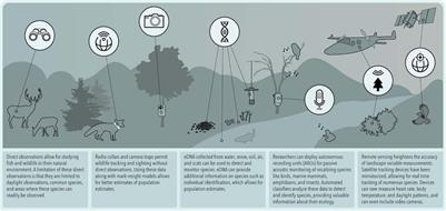 The Rapid Rise of Next-Generation Natural History